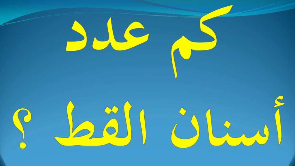 كم عدد اسنان القطط