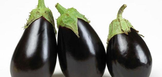 الباذنجان وأهم فوائده وأضراره
