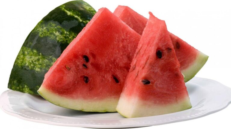 البطيخ وأهم فوائده وأضراره