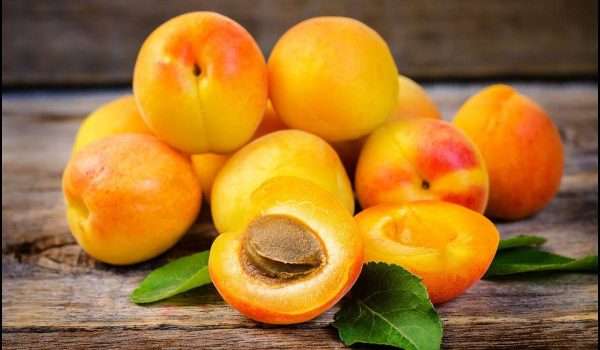 المشمش وأهم فوائده وأضراره