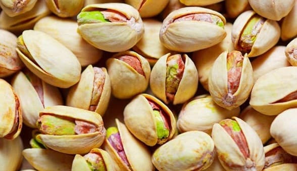 الفستق وأهم فوائده وأضراره