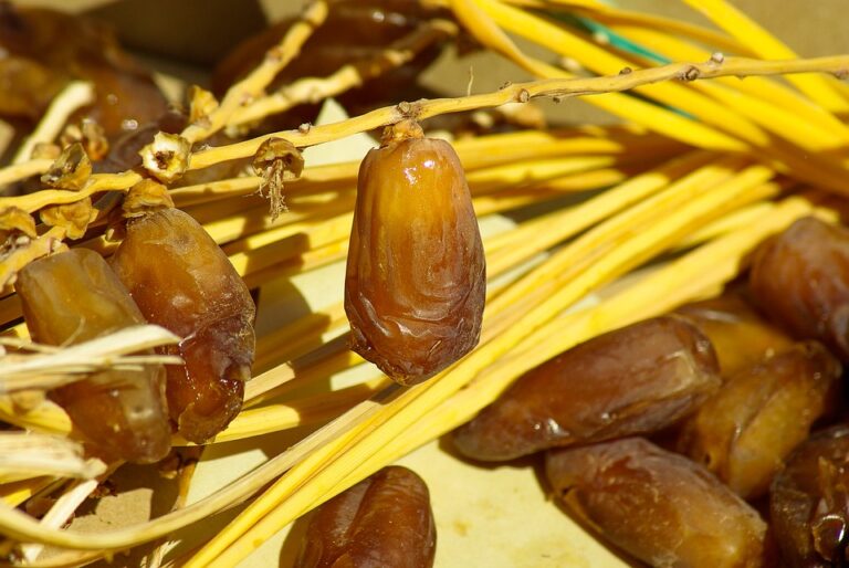 البلح وأهم فوائده وأضراره