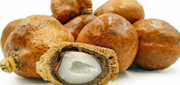 الدوم وأهم فوائده وأضراره