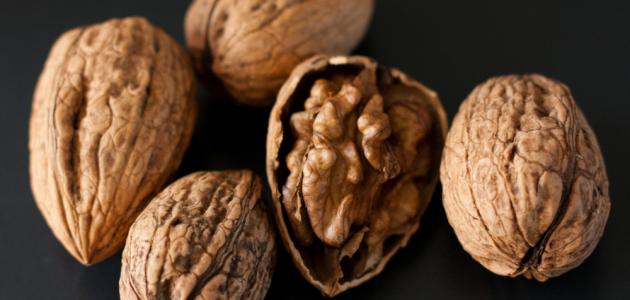 عين الجمل وأهم فوائده وأضراره
